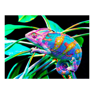 Алмазная мозаика Хамелеон на листиках 30х40 см Рыжий Кот AC34035